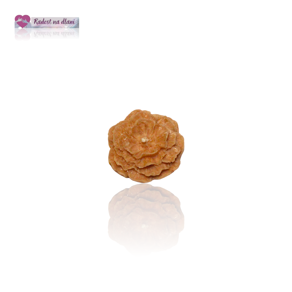 Svíčka - Plovoucí květ - 4cm - hněda